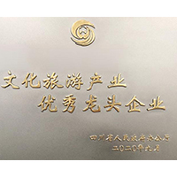 省文化旅游产业优秀龙头企业