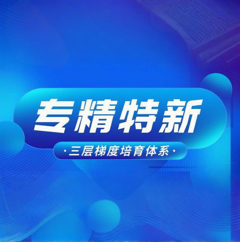 专精特新中小企业